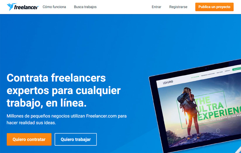 Freelancer